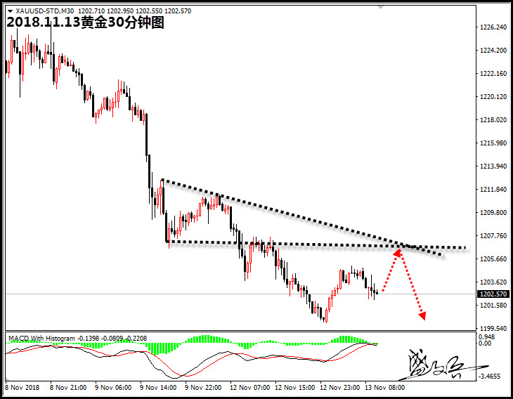 11.13黄金30.jpg