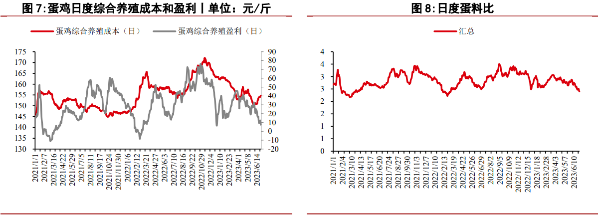 关联品种鲜鸡蛋所属公司：华泰期货