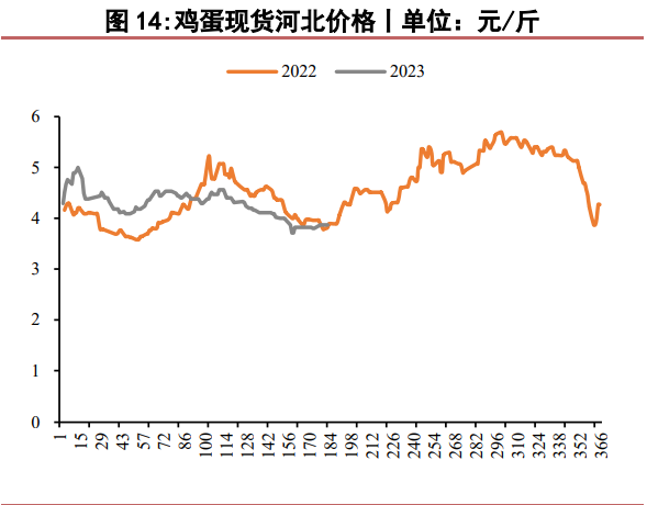 关联品种鲜鸡蛋所属公司：华泰期货