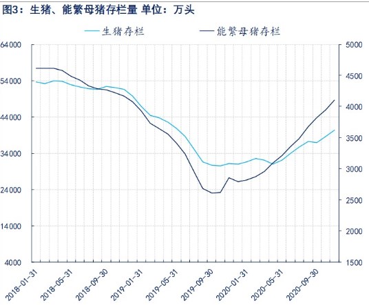 关联品种生猪所属公司：物产中大期货