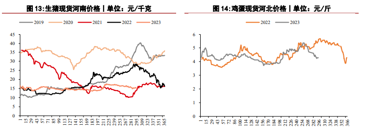 关联品种生猪鲜鸡蛋所属公司：华泰期货