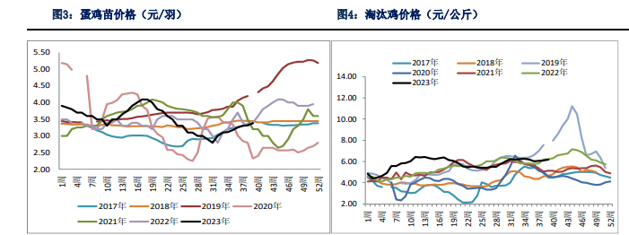 关联品种鲜鸡蛋所属公司：银河期货