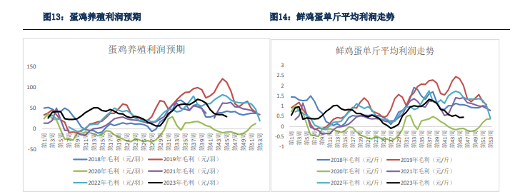 关联品种鲜鸡蛋所属公司：银河期货