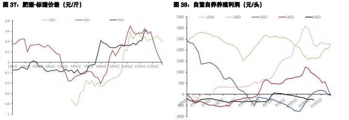 关联品种鲜鸡蛋生猪所属公司：五矿期货