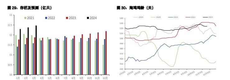 关联品种鲜鸡蛋生猪所属公司：五矿期货