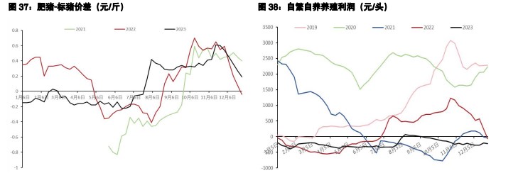 关联品种鲜鸡蛋生猪所属公司：五矿期货