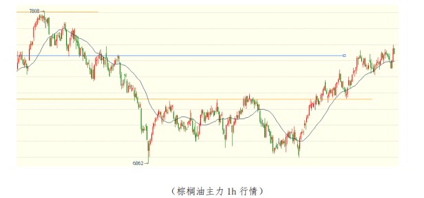 关联品种棕榈油豆油a target=