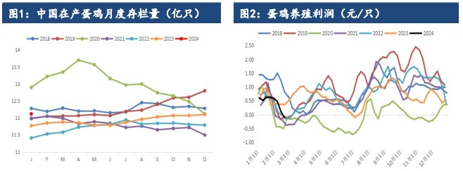 所属公司：建信期货