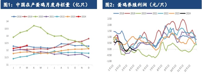 所属公司：建信期货