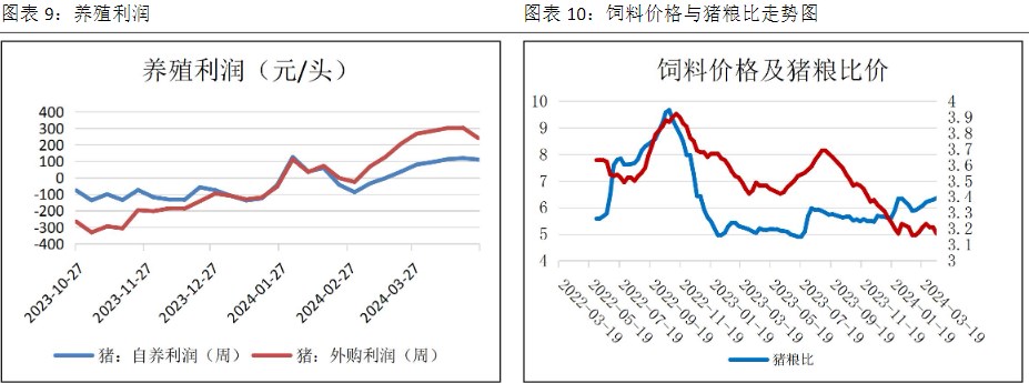 关联品种生猪所属公司：恒泰期货