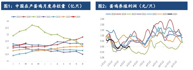 所属公司：建信期货