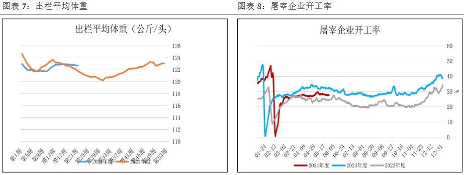 关联品种生猪所属公司：恒泰期货