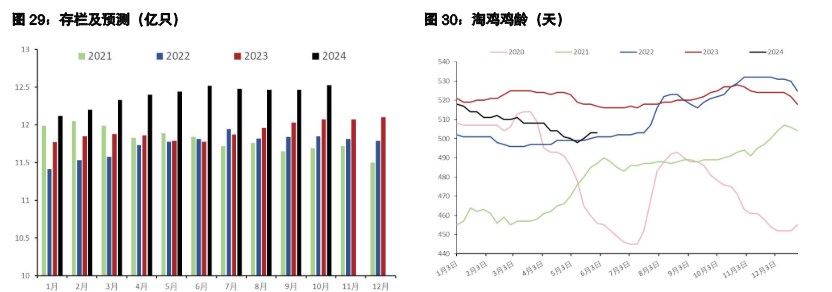 关联品种生猪所属公司：五矿期货