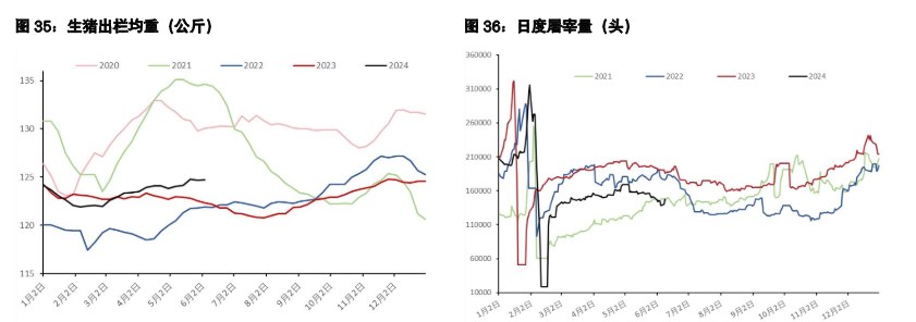 关联品种生猪所属公司：五矿期货