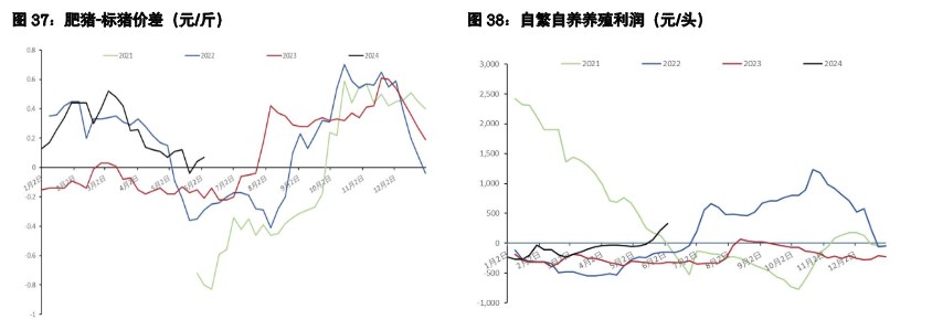 关联品种生猪所属公司：五矿期货