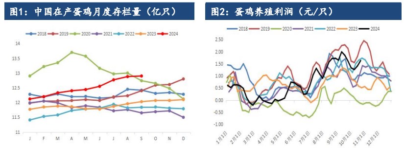 所属公司：建信期货