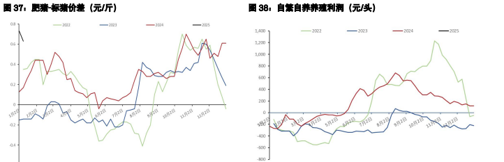 关联品种棉花生猪所属公司：五矿期货